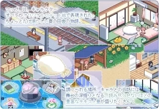 寻找夏日的宝物 PC 安卓双端版本 中文汉化 夏日冒险新作